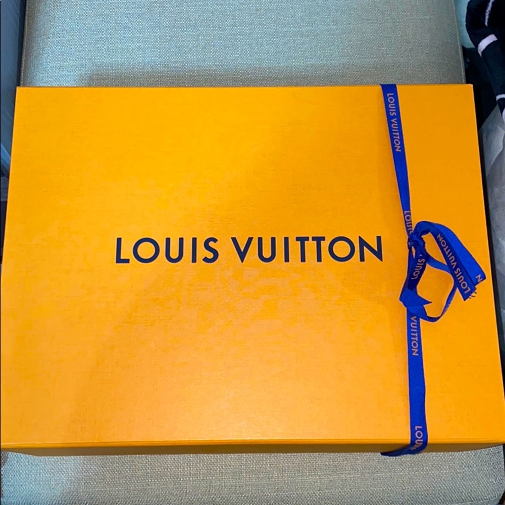 Louis Vuitton Shoe Box